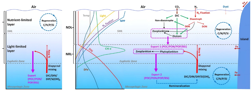 CARBON-FE项目组牵头发表北太平洋荒漠区生物地球化学综述文章