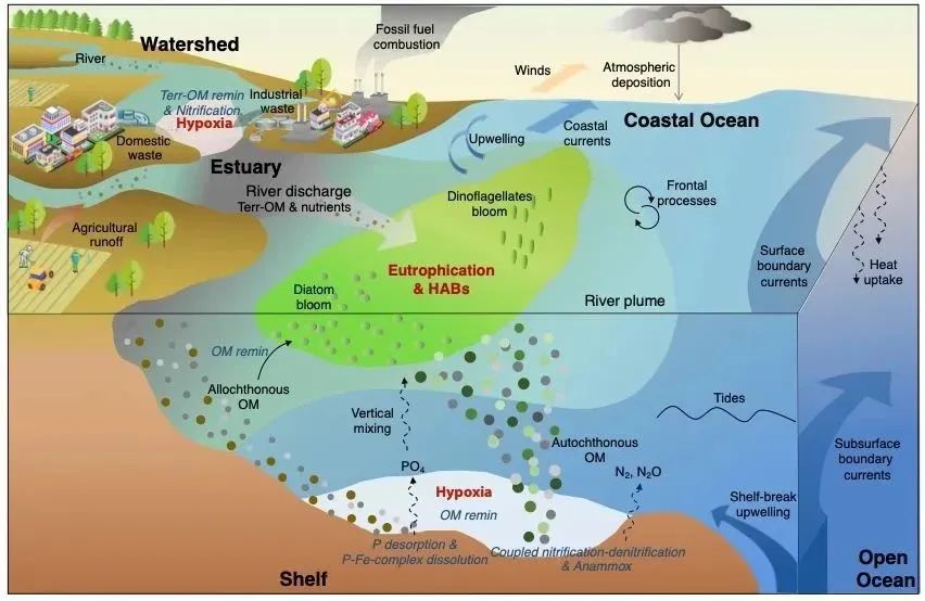 戴民汉教授团队应邀在Cambridge Prisms: Coastal Futures发表近海富营养化与缺氧综述文章