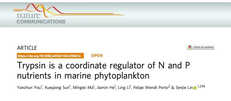 林森杰团队在Nature Communications上发表成果揭示浮游植物胰蛋白酶是调控氮磷营养平衡的双向开关